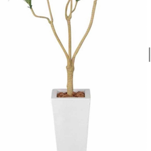 光触媒 人工観葉植物 ウォールグリーン フェイクグリーン ユッカツリー