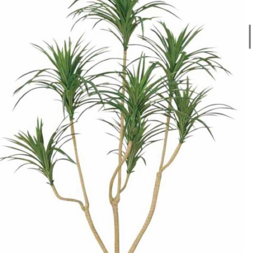 光触媒 人工観葉植物 ウォールグリーン フェイクグリーン ユッカツリー