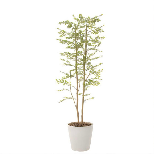 光触媒　人工観葉植物　ウォールグリーン　ゴールデンリーフ1.8h 光触媒 人工観葉植物 ウォールグリーン ゴールデンリーフ1.8h