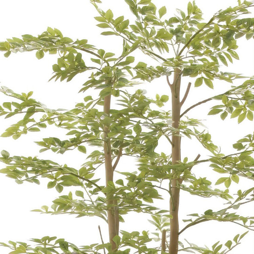 光触媒 人工観葉植物 ウォールグリーン ゴールデンリーフ1.8h その他