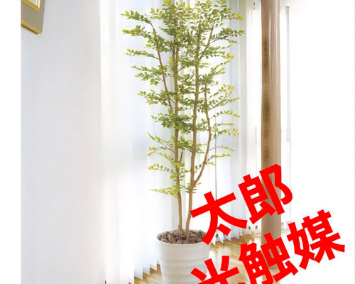 光触媒 人工観葉植物 ウォールグリーン ゴールデンリーフ1.8h その他