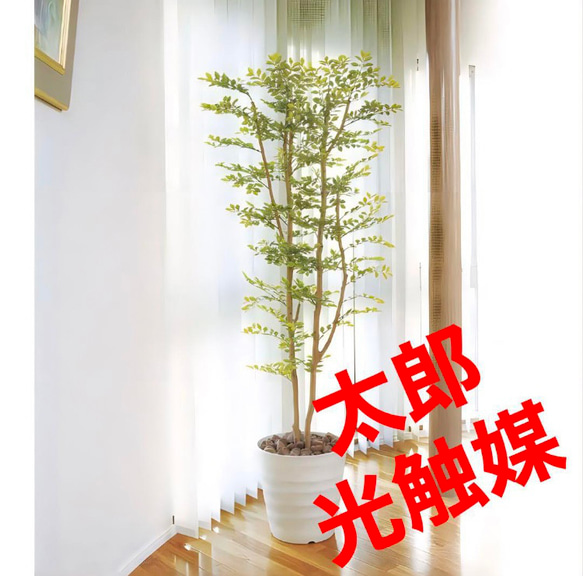 光触媒　人工観葉植物　ウォールグリーン　ゴールデンリーフ1.8h 光触媒 人工観葉植物 ウォールグリーン ゴールデンリーフ1.8h その他