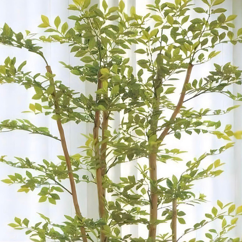 光触媒　人工観葉植物　ウォールグリーン　ゴールデンリーフ1.8h 光触媒 人工観葉植物 ウォールグリーン ゴールデンリーフ1.8h