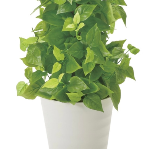 光触媒　人工観葉植物　ウォールグリーン　フェイクグリーン　壁掛けライムポトス 光触媒 人工観葉植物 ウォールグリーン フェイクグリーン ポール