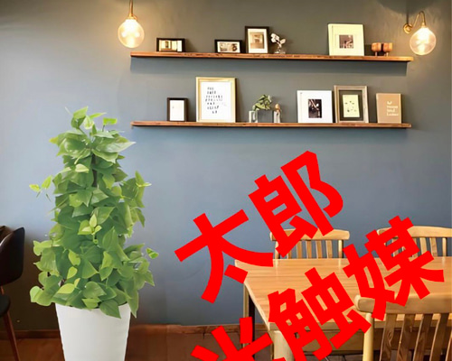 光触媒 人工観葉植物 ウォールグリーン フェイクグリーン ポール