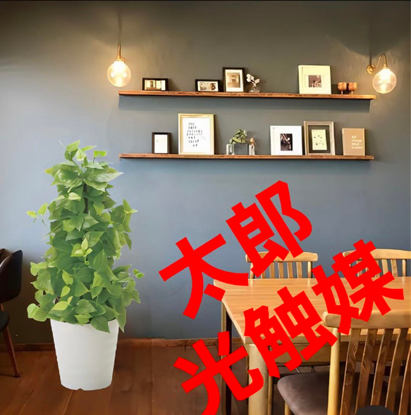 光触媒 人工観葉植物 ウォールグリーン フェイクグリーン ポール