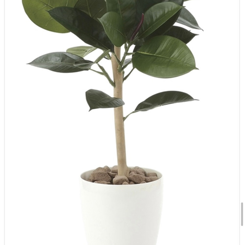 光触媒　人工観葉植物　ウォールグリーン　フェイクグリーン　ゴムの木90 光触媒 人工観葉植物 ウォールグリーン フェイクグリーン ゴムの木90