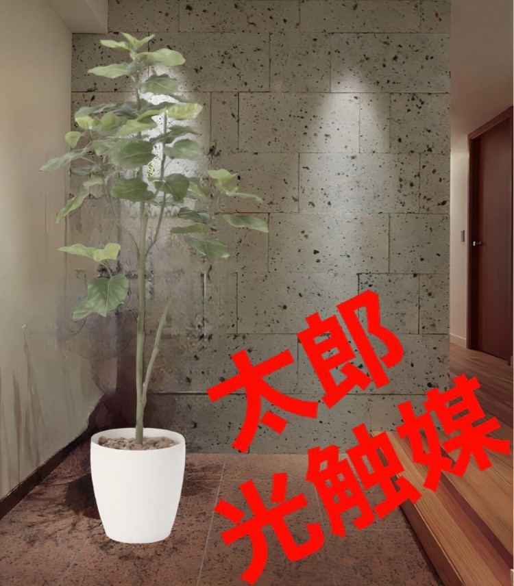 光触媒　人工観葉植物　ウォールグリーン　フェイクグリーン　ウンベラータ1.8gp
