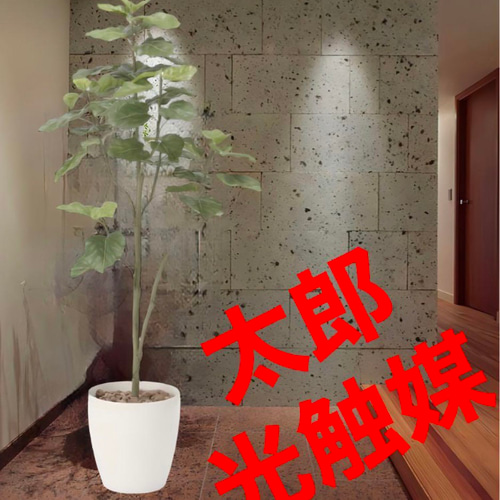 光触媒　人工観葉植物　ウォールグリーン　フェイクグリーン　ウンベラータ1.8p 光触媒 人工観葉植物 ウォールグリーン フェイクグリーン
