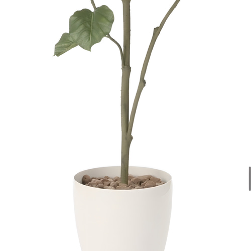 光触媒　人工観葉植物　ウォールグリーン　フェイクグリーン　ウンベラータ1.8p 光触媒 人工観葉植物 ウォールグリーン フェイクグリーン