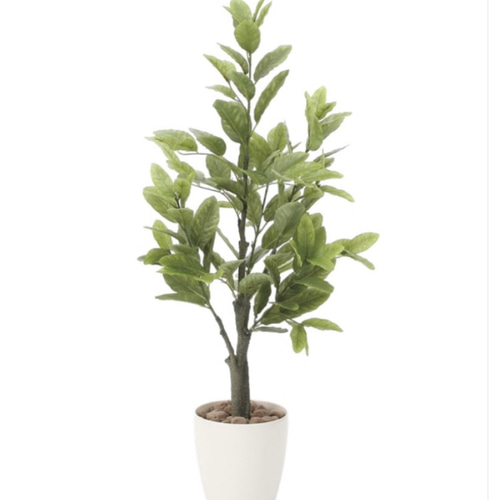 光触媒 人工観葉植物 ウォールグリーン フェイクグリーン レモン1.0