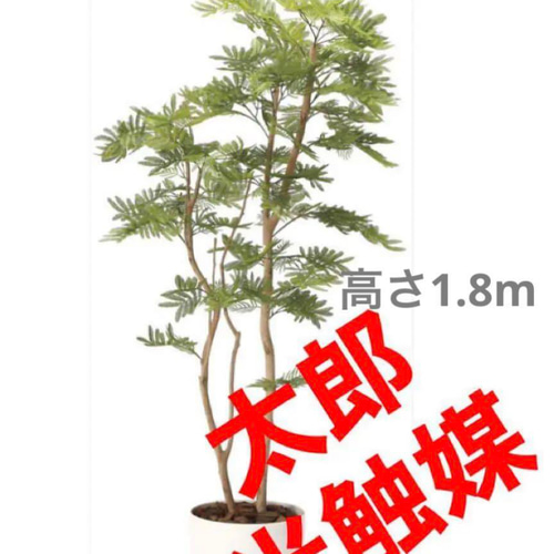 光触媒　人工観葉植物　ウォールグリーン　フェイクグリーン　ねむの木1.8 光触媒 人工観葉植物 ウォールグリーン フェイクグリーン
