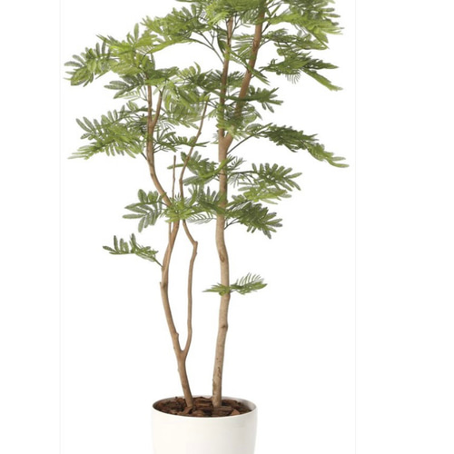 光触媒　人工観葉植物　ウォールグリーン　フェイクグリーン　ねむの木1.8 光触媒人工観葉植物ウォールグリーンフェイクグリーンねむの木1.8