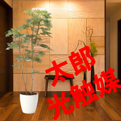 光触媒人工観葉植物ウォールグリーンフェイクグリーンねむの木1.8