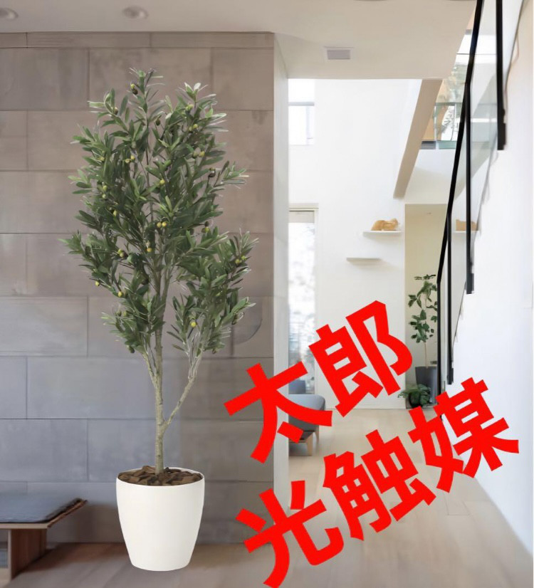 光触媒　人工観葉植物　ウォールグリーン　フェイクグリーン　オリーブツリー1.65