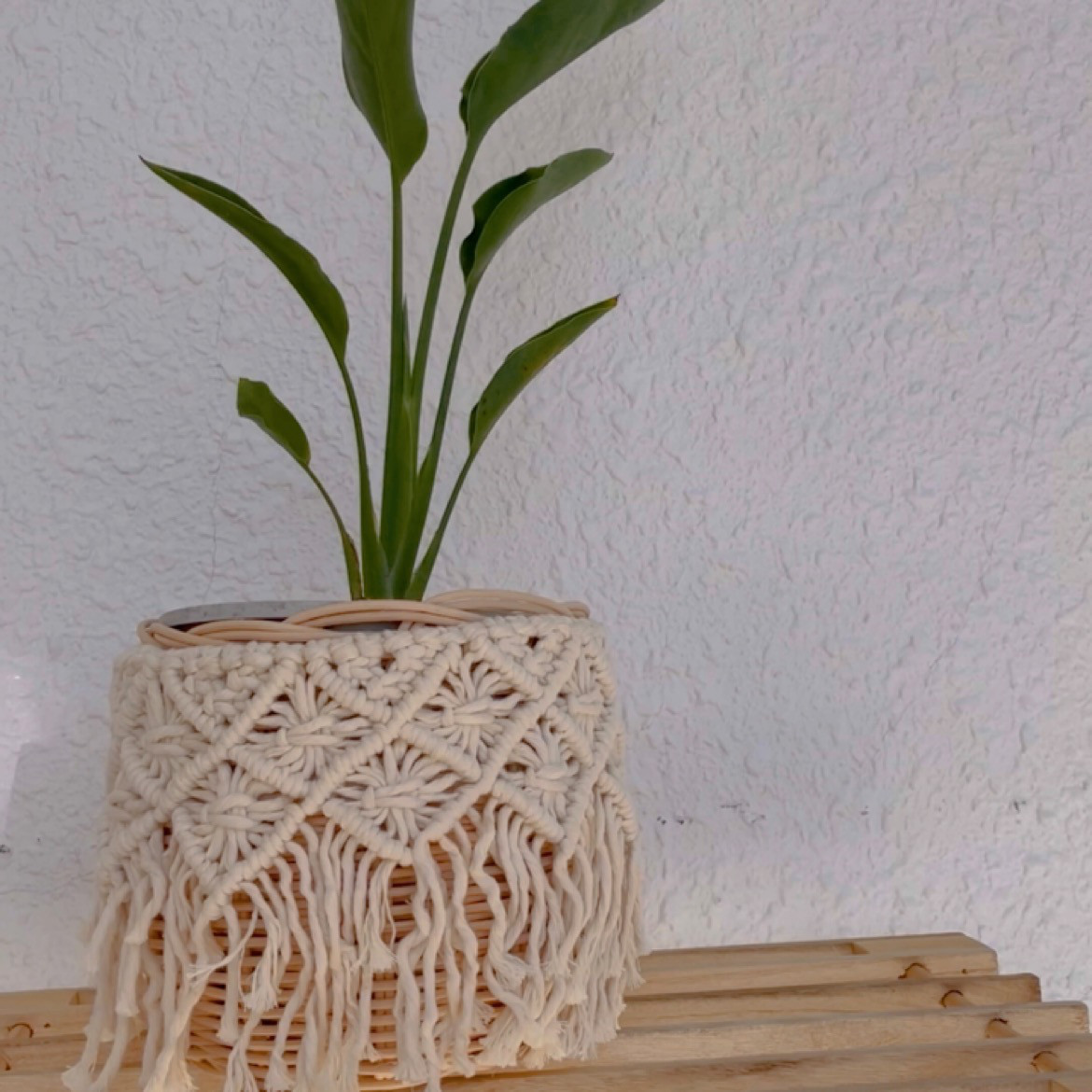 ラタンとマクラメのboho鉢カバー