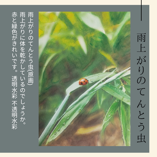 てんとう虫　アート原画 てんとう虫アート原画