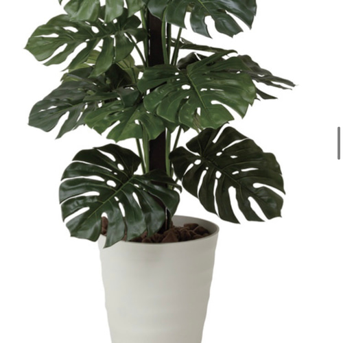 光触媒 人工観葉植物 ウォールグリーン フェイクグリーン