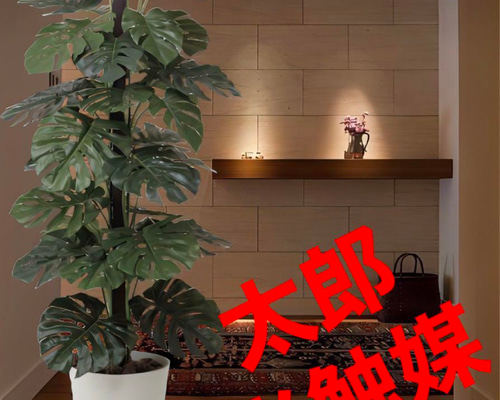 光触媒人工観葉植物ウォールグリーンフェイクグリーンカシワバゴム1.8@g