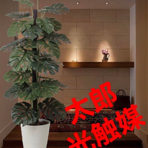 光の楽園 光触媒 人工観葉植物 ウォールグリーン フェイク 光の楽園 光触媒 人工観葉植物 ウォールグリーン フェイク