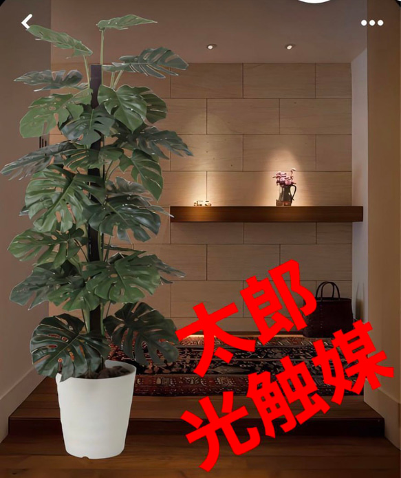 光の楽園 光触媒 人工観葉植物 ウォールグリーン フェイクグリーン 