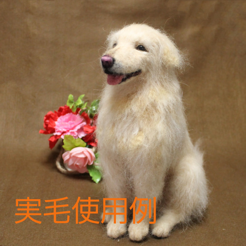 羊毛フェルト オーダー 「リアルで可愛いワンちゃん」ゴールデン 羊毛フェルト オーダー 「リアルで可愛いワンちゃん」ゴールデン