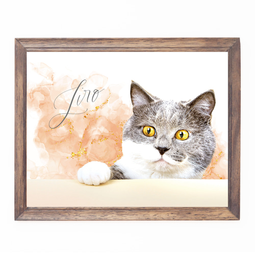 オーダーページ パネル Jewelry猫 10/17