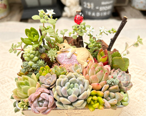 88e6965b60a56348beb0781b6b9ec1