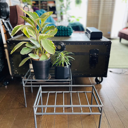 観葉植物ラック アイアン家具 グリーンラック オーダーメイド