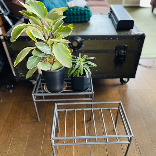 観葉植物ラック アイアン家具 グリーンラック オーダーメイド