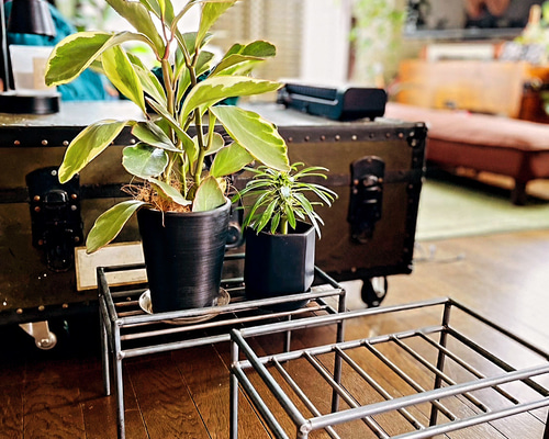 アイアンシェルフ 植物棚 ディスプレイスタンド 受注生産 特注 サイズオーダー アイアンシェルフ 植物棚 ディスプレイスタンド 受注生産 特注