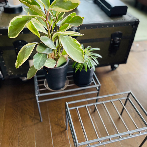 観葉植物ラック アイアン家具 グリーンラック オーダーメイド