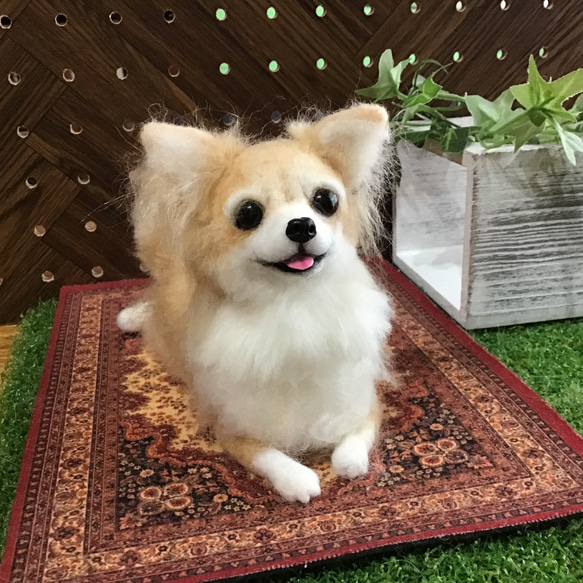 羊毛フェルトチワワ 伏せチワワ白チワワちゃん 置物 - メルカリ