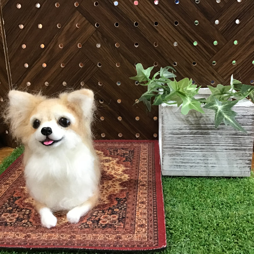 ロングコートチワワ（クリーム）伏せポーズ❣️ 羊毛フェルト コーギー