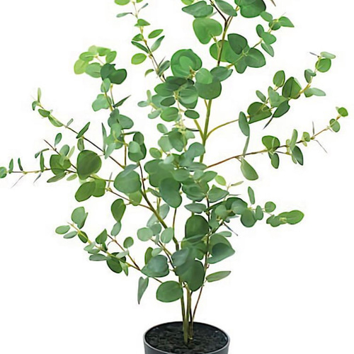 光触媒人工観葉植物ウォールグリーンフェイクグリーンユーカリ