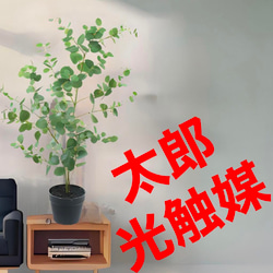 光触媒 人工観葉植物 フェイクグリーミニバンブースタンド1.35 その他