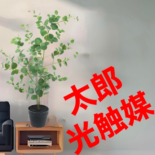 光触媒　人工観葉植物　ウォールグリーン　フェイクグリーン　ユーカリツリー100 光触媒 人工観葉植物 ウォールグリーン フェイクグリーン ユーカリ