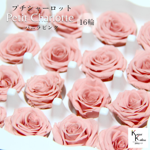 プリザーブドフラワー　大地農園　まとめ　16箱 プリザーブドフラワー 大地農園 まとめ 16箱 大地農園！プリザーブド