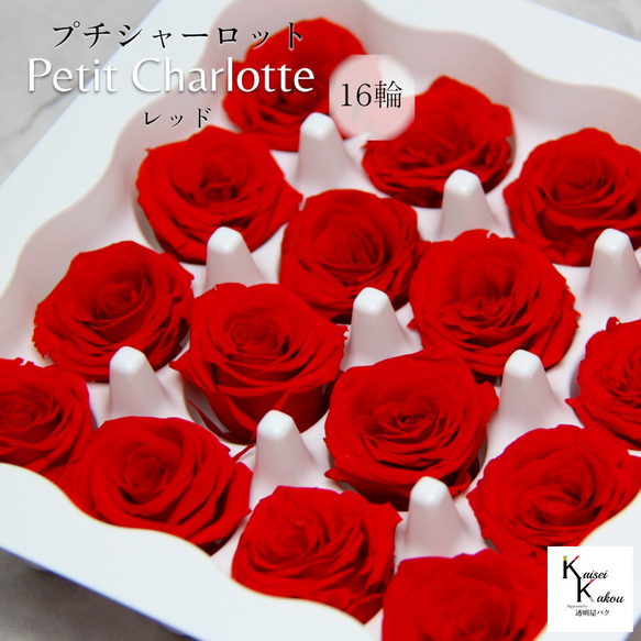 プリザーブドフラワー 大地農園 まとめ 16箱 プリザーブドフラワー