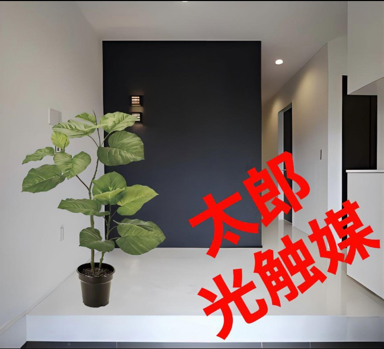 光触媒 人工観葉植物 ウォールグリーン フェイクグリーン オリーブと 