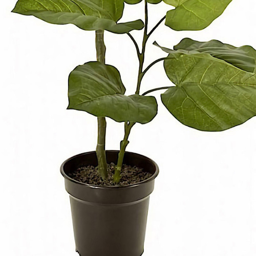 光触媒 人工観葉植物 ウォールグリーン フェイクグリーン ウンベラータ