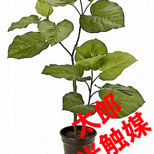 【特別訳あり特価】 光触媒 人工観葉植物 ウォールグリーン フェイクグリーン フラワー・ガーデニング