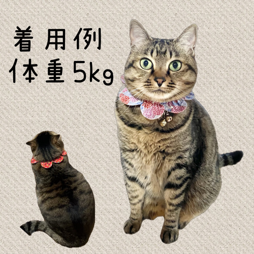 猫首輪　ザビエル首輪　３０枚セット ザビエル首輪 猫首輪 シュシュ首輪 リード・首輪 はせがわ 通販