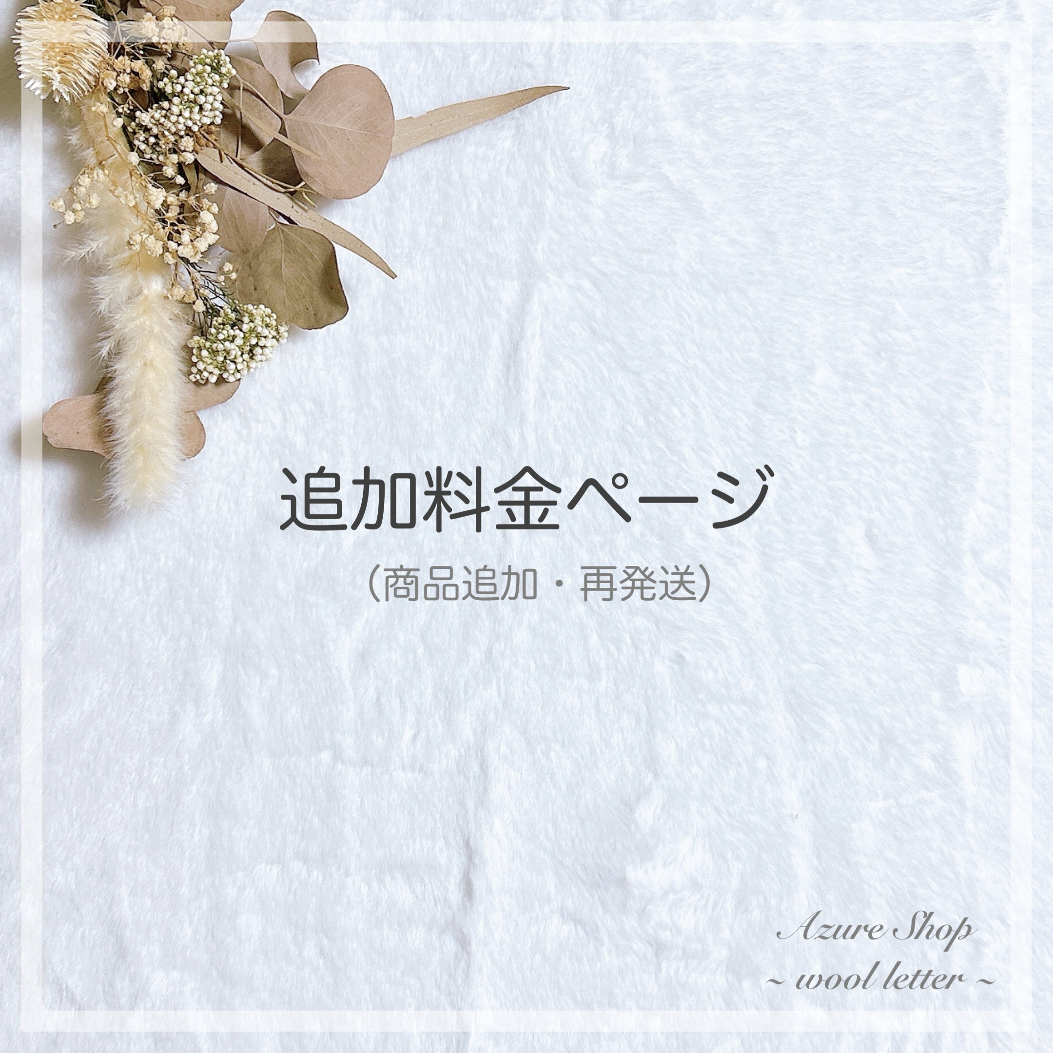 追加料金ページ（商品追加・再発送）