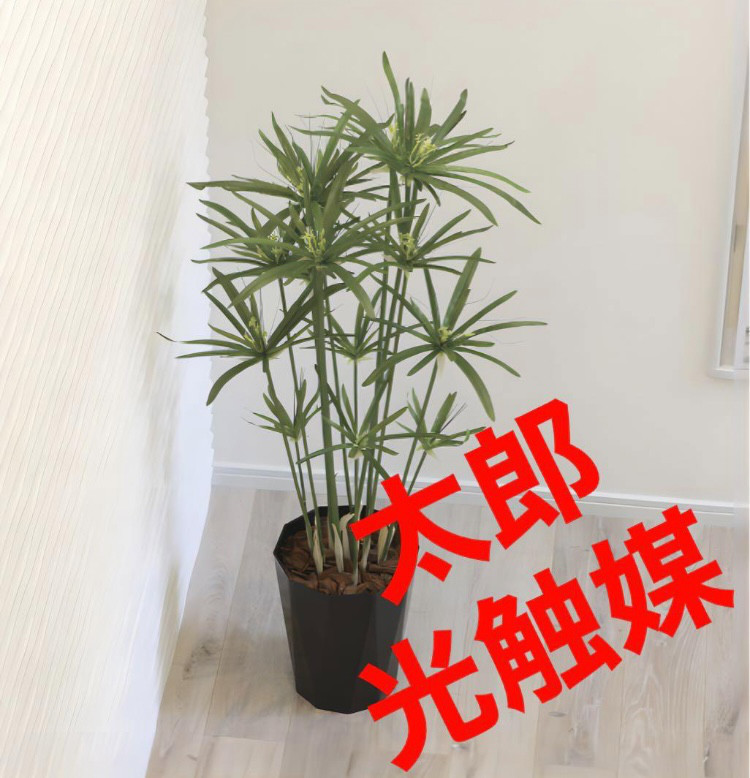 光触媒加工 抗菌消臭 ウォールグリーンSWロングNO.105.106