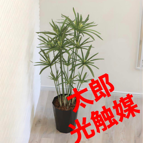 光触媒 人工観葉植物 ウォールグリーン フェイクグリーン パピルス60