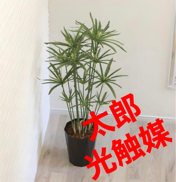 光触媒 人工観葉植物 ウォールグリーン フェイクグリーン パピルス