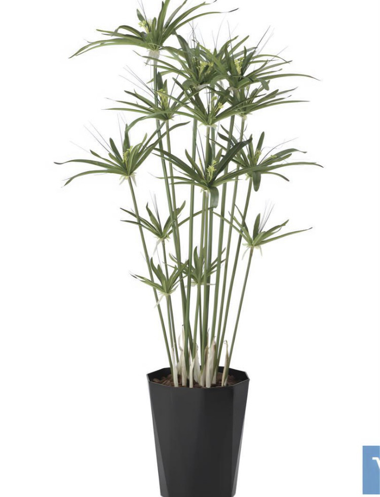 光触媒人工観葉植物ウォールグリーンフェイクグリーンオリーブポット