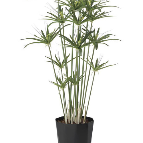 光触媒 人工観葉植物 ウォールグリーン フェイクグリーン パピルス 