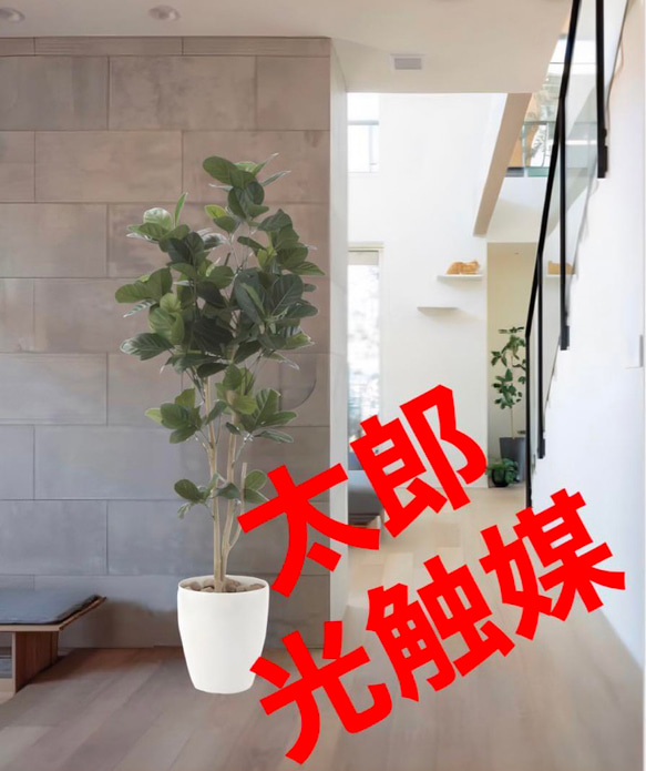光触媒 人工観葉植物 ウォールグリーン フェイクグリーン シーグレープ